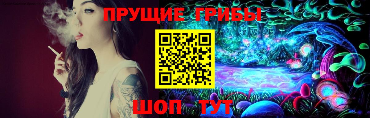 Псилоцибиновые грибы Psilocybine cubensis Черногорск